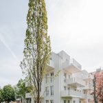 G13 – Umbau Wohnhäuser Gallgasse: Licht, Luft und Grün