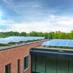 Das Solar-Retentions-Gründach nach der Fertigstellung: Grün, speichert viel Wasser und liefert Energie – multifunktionale Dachnutzung
