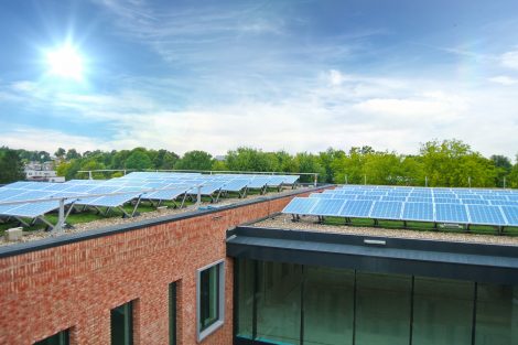 Einzigartiges Solar-Retentions-Gründach im niederländischen Brunssum verbindet viele Vorteile