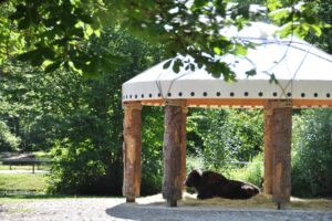 Vom Yak zur Jurte – Futterpavillon im Münchner Tierpark Hellabrunn