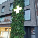 Begrünte Fassade oder begrüntes Dach im Gesundheitssektor, Sempergreen