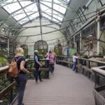 Südamerikahaus Kölner Zoo, abgesicherter Steg Besucher