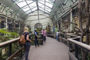 Auf Humboldts Spuren: Unterwegs im „Regenwald am Rhein“